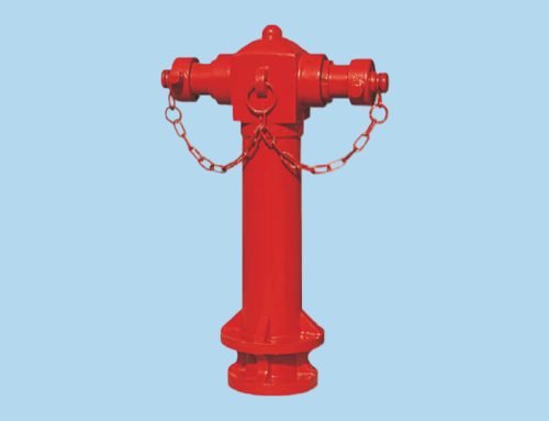 The Unsung Guardian: The Outdoor Fire Hydrant